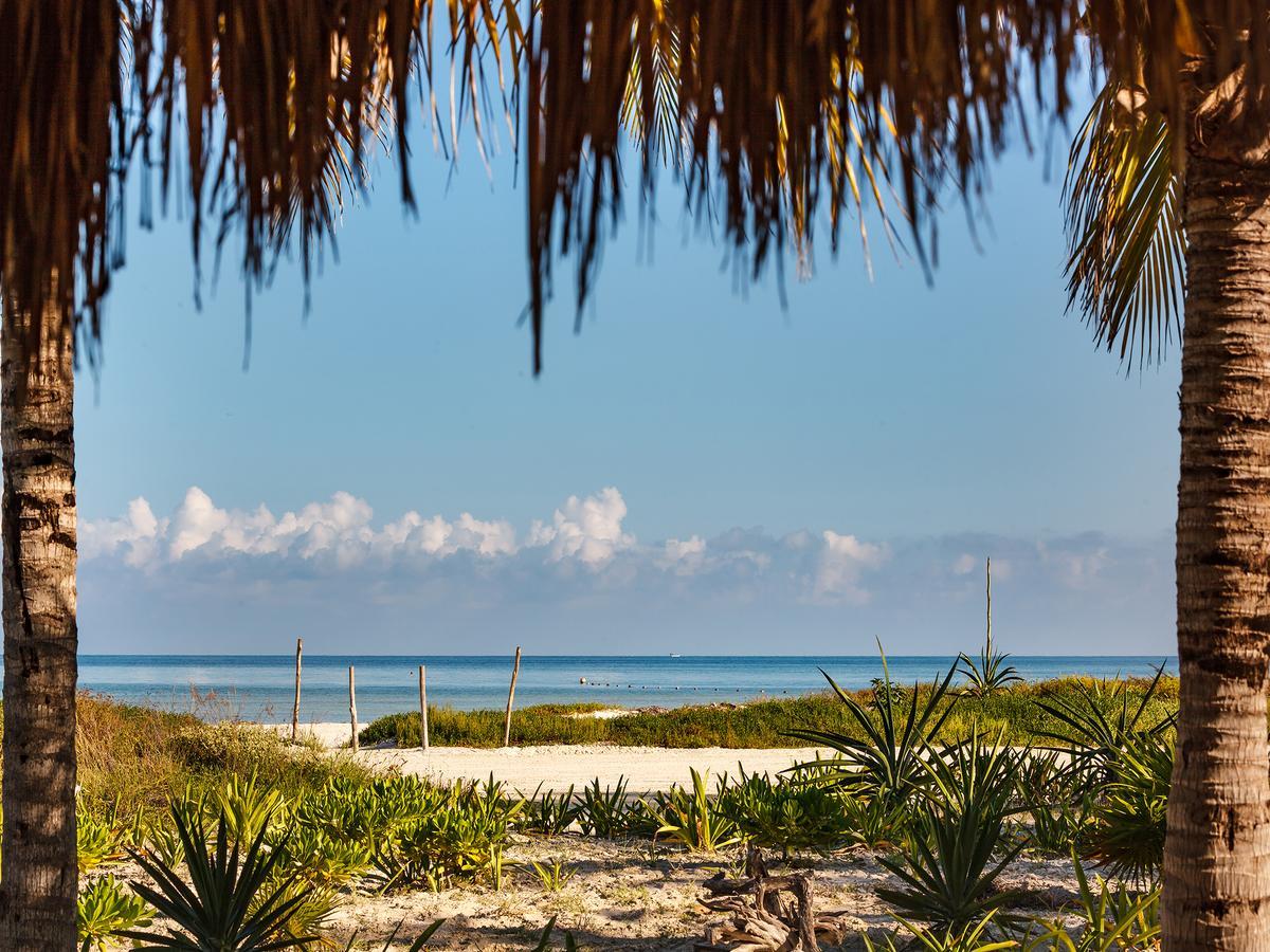 Villas Hm Palapas Del Mar Isla Holbox Luaran gambar